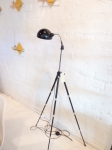 Fusion of  tripod lamp with original Bauhaus shade